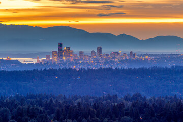 Seattle ranked 15th largest city in USA and one of the top 5 fastest growing cities in USA.