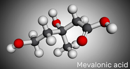 Mevalonic acid, MVA, R-mevalonic acid molecule. It is precursor in the mevalonate pathway, carboxylate anion is mevalonate. Molecular model. 3D rendering
