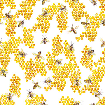 Yellow honey bees in combs on a white background. Acrylic painting. Insects bee art. Handwork. Seamless pattern for design.