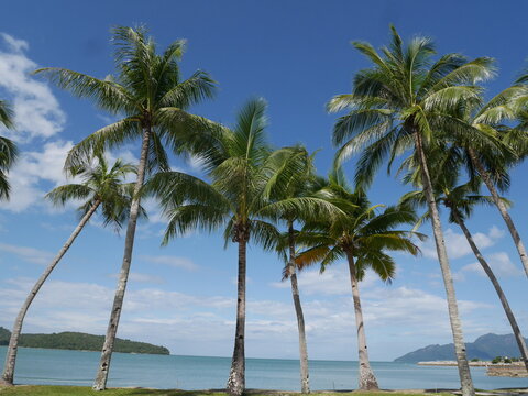 Palen am grand von Malaysia