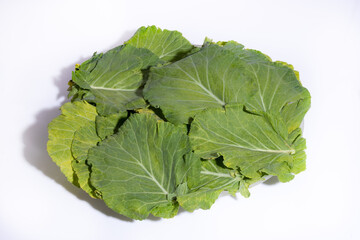 Cabbage bundle in leaves planted and organically grown on white background