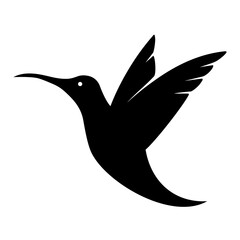 Vector black silhouette of a flying tropical colibri bird (hummingbird) isolated on a white background.