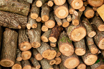 Chopped wood pile with green moss, pile of firewood