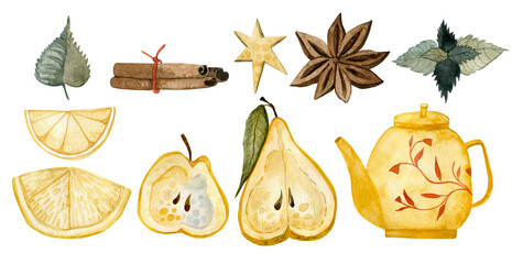 Autumn set of images isolated on a white background. Watercolor drawn illustration of autumn. Cinnamon, tea, coffee mug, rosehip, leaf, lemon, pear, Lemon, pear, apple, cinnamon, anise, mint.
