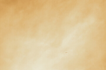 Small Ivory gull flies in the cloudy sky. Minimalism. Old sepia brown vintage photo