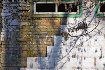 Old brick wall with few white tiles. Wall in the abandoned wrecked house with empty windows. Ancient wall of white tiles with shadows from a tree branch. White vintage stone wall, texture background