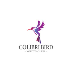 Flying colibri Bird Logo abstract colorful design vector template 