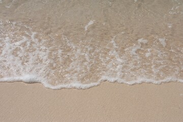 Fototapeta na wymiar 砂浜