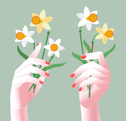 Women's hands with red nails holds flowers of white and yellow daffodils. Bouquet of blooming daffodils with leaves at the hands on a pastel green backgraund