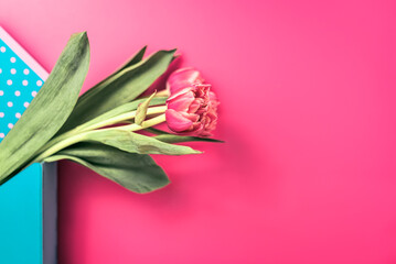 Fototapeta premium Floral elegant fresh composition of plants