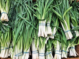 Green onions on the market