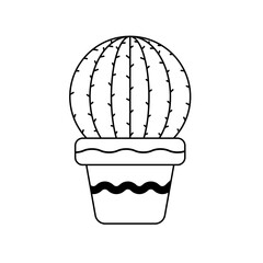 Vector cactus in potted plant. Cactus A variety of succulent plants that are popular to grow