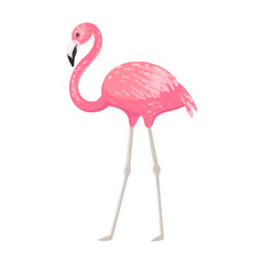 Flamingo. Pink flamingo walking pink bird. Tropical animal, symbol of summer. Vector character, cartoon animal illustration.