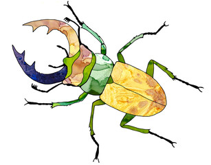 Stag beetle isolated on white background.  A cartoon, large beetle with a yellow, bright, decorated, multicolored body. A beautiful insect with wings. A forest, flying, rare insect.
