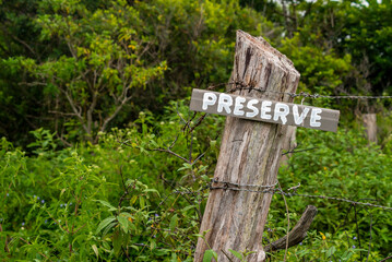 Mata atlântica lugar de preservação da natureza