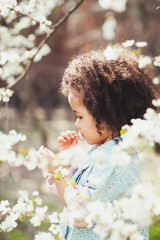 Springtime harmony