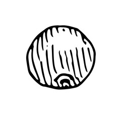 Cranberry, vector illustration, hand drawing, sketch