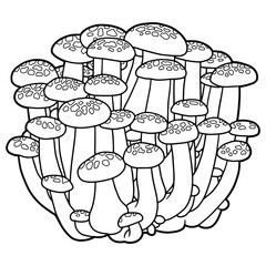Brown beech mushroom. Hon Shimeji. Hand drawing edible mushrooms. Coloring page. 