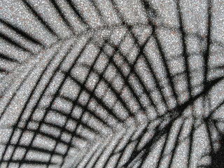 Shadow of palm leaves on floor background. Silhouettes and shadows.