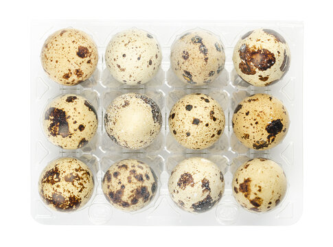 Group of twelve fresh quail eggs in a plastic egg carton, from above, isolated on white background. Speckled, whole eggs of common quail, Coturnix coturnix, a delicacy, used raw or cooked. Food photo.