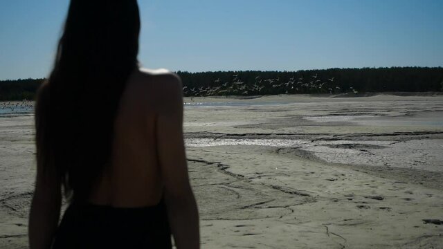A girl in a black dress with an open back walks on a sand breg against the backdrop of summer and flying past a flock of birds. High quality FullHD footage