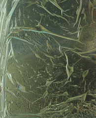 texture transparent abstract crumpled ice background