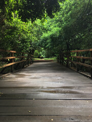 Wet wooden bridge after rain

