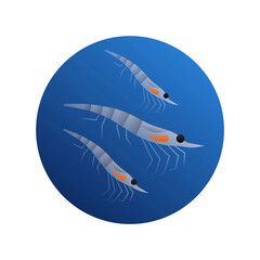 Krill sea food animal illustration isolated