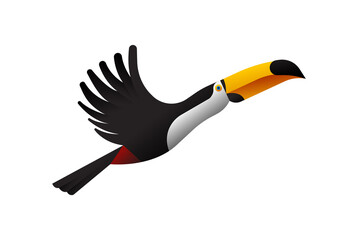 Fototapeta premium Toucan bird flying animal illustration isolated