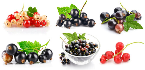 Collage mix set of currant berries with green leaf isolated on white background.