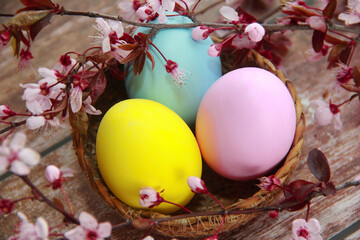 colorful easter eggs and branches of pink cherry sakura