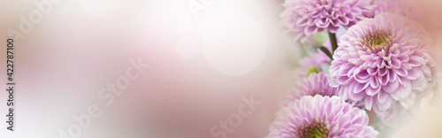 Pink flowers for mother's day greetings. Pastel colored floral still life with tender bokeh. Horizontal background with space for text.