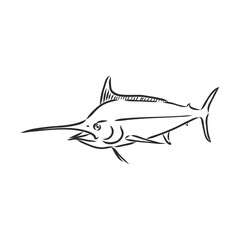 Hand Drawn Marlin fish jump marlin, vector sketch on a white background