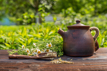 Ceramic naive handmade teapot made of red clay. Bamboo spoon with chamomile tea, fresh daisy flowers, wooden table. A bright sunny day, hard light. Floral background in blur.