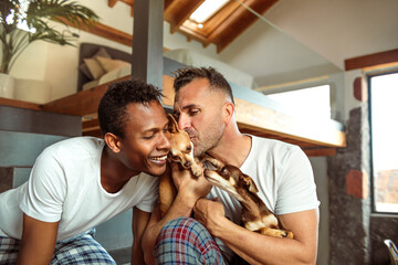 Beautiful gay couple cuddling their dogs, enjoying their morning at home - Multi-ethnic couple living in a beautiful modern house made of wood, metal and glass. - 422789132