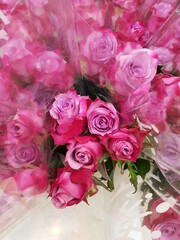 pink flower