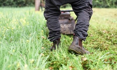 Man with lawn mower cuts the grass  in the park. Grass grows quickly during favorable season, it is periodically trimmed. Green, well-groomed, beautiful lawns delight others. Outdoors.