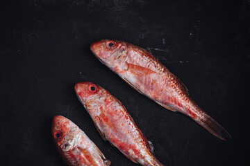 Fresh raw red mullet fishes