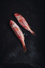 Fresh raw red mullet fishes © sabino.parente