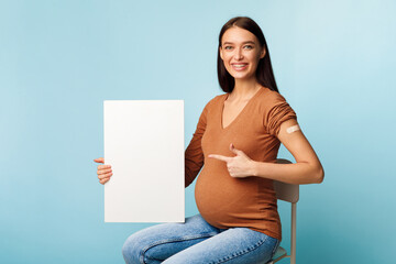 Pregnant Woman Showing Vaccinated Arm And Blank Poster, Blue Background