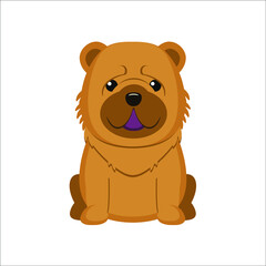 Chow Chow. Vector illustration of cute sitting dog in flat style. Isolated on white