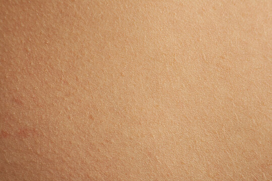 epidermide , peli , dermatologia , pelle, cura, tessuto , pellaccia , giovane, texture, macro, marrone, cartone, vuoto, vecchio, astratto, carta, chirurgia , consistenza, esempio, sfondo, vintage, 