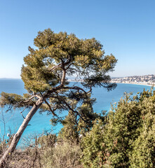 Panorama sur la Baie des anges à Nice sur la Côte d'Azur