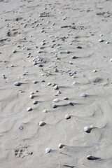 Amrum