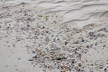 Amrum