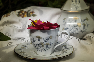 tea cup with flowers inside, for refreshments in the garden