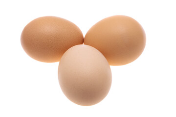 chicken eggs isolated