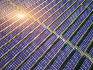 Solar power panels in the top view