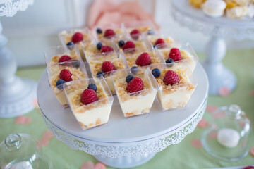 delicious canapes and snacks on the table