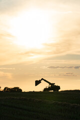 Fototapeta premium Silhouette of a working excavator with a raised bucket against the background of sunset and clouds. The field is operated by agricultural machinery. The season of harvesting or planting the crop.